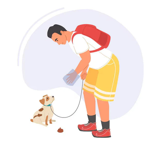 Illustratie van hondeneigenaar die poepzakje tijdens wandeling gebruikt