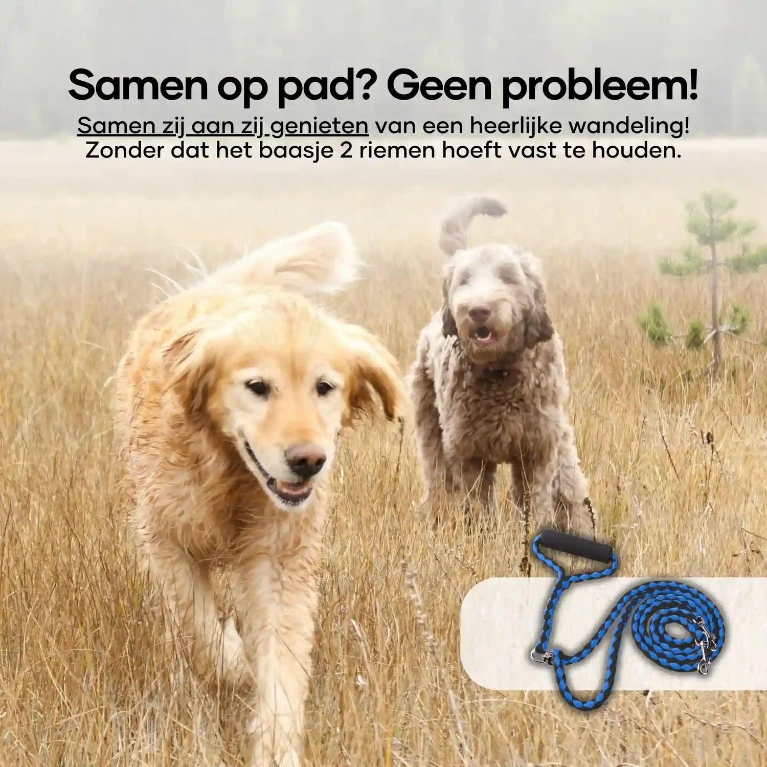Dubbele hondenriem - Dierenhoekje