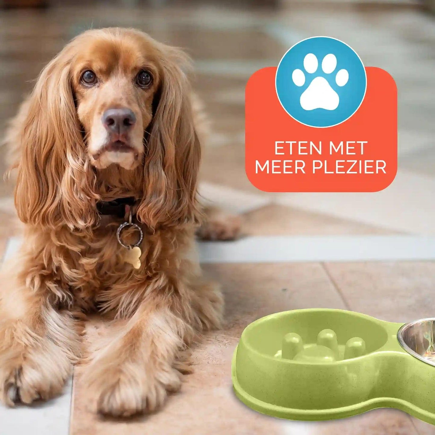 Anti schrokbak Katten en Kleine Honden - Dierenhoekje