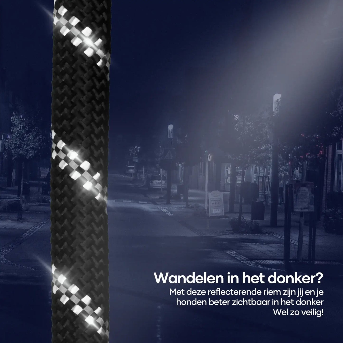 Nylon Hondenriem