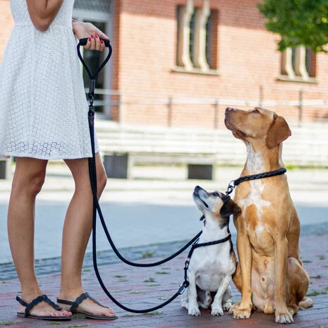 Rebel Petz - Dubbele Hondenriem Voor Twee Honden - Dierenhoekje