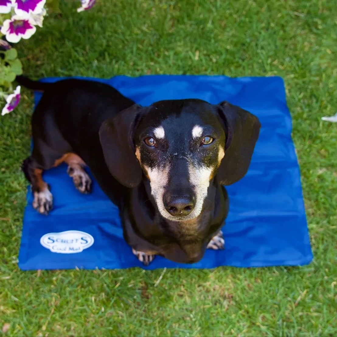Scruffs Koelmat voor Honden - Blauw