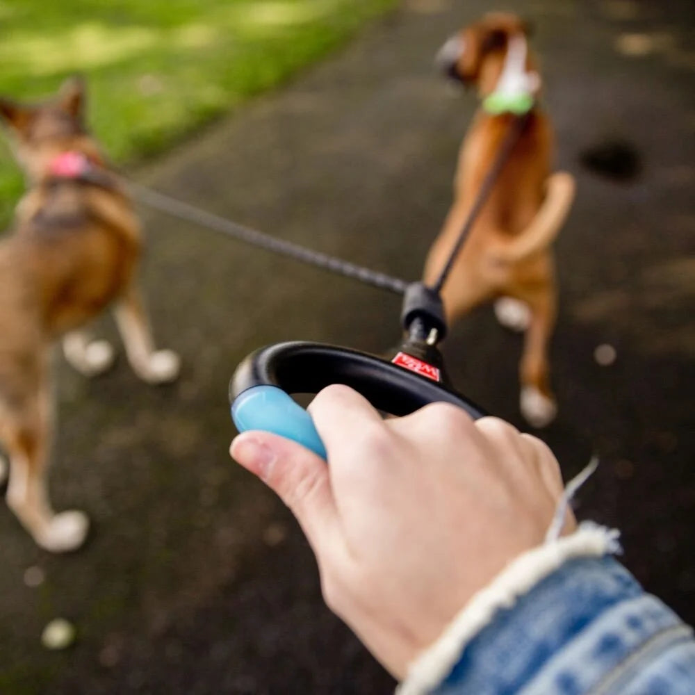 Wigzi Dual Doggie - Voor Twee Honden
