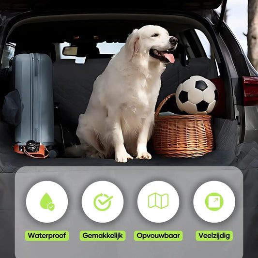 Is het verplicht je hond vast te zetten in de auto? - Dierenhoekje