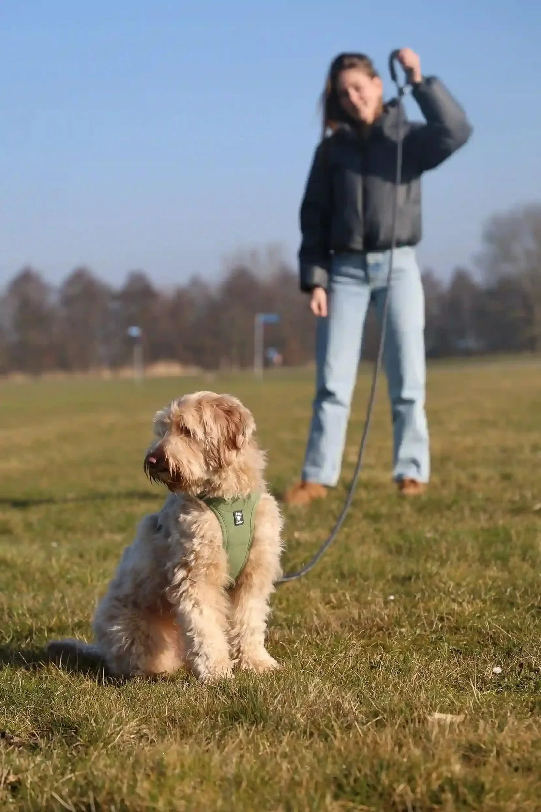 Hoe lang mag een hondenriem zijn? - Dierenhoekje