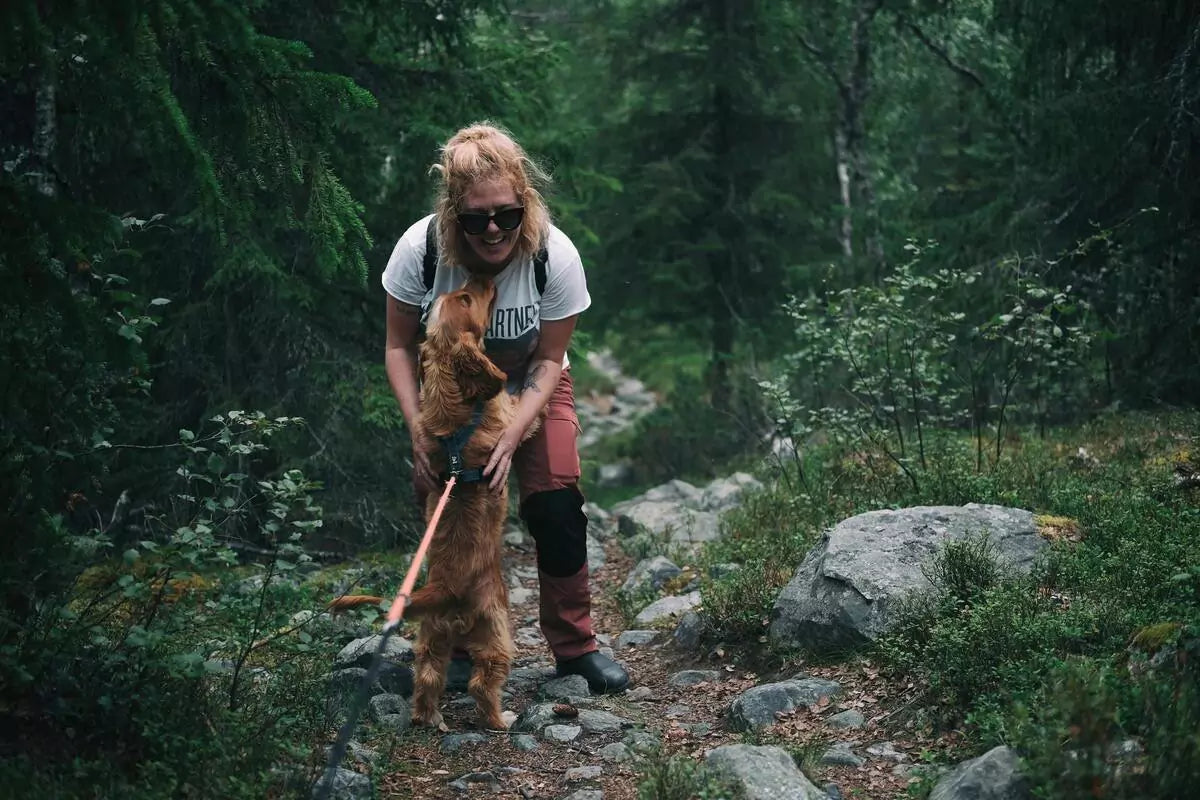 Hond uitlaten in het bos