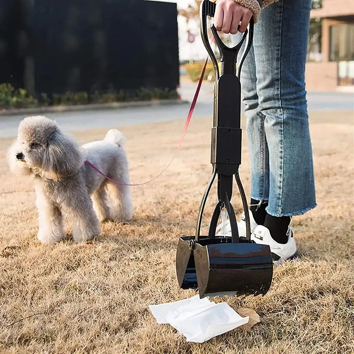 Dog poop scoop