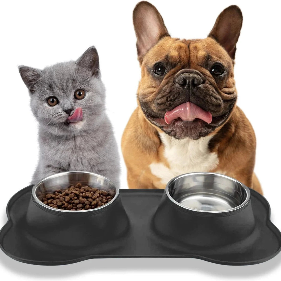 Double Feeder for Cats and Dogs