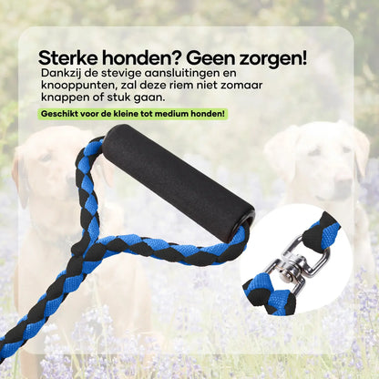 Double dog leash for 2 dogs