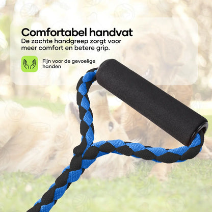 Double dog leash for 2 dogs