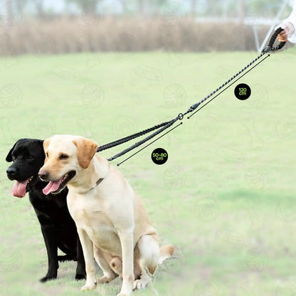 Double Dog Leash with Padded Handle