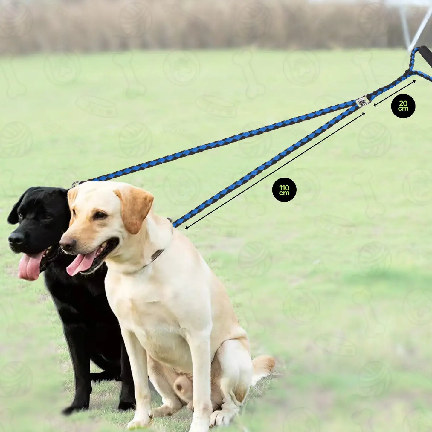 Double dog leash for 2 dogs