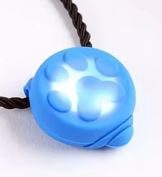 Brandend lampje hond