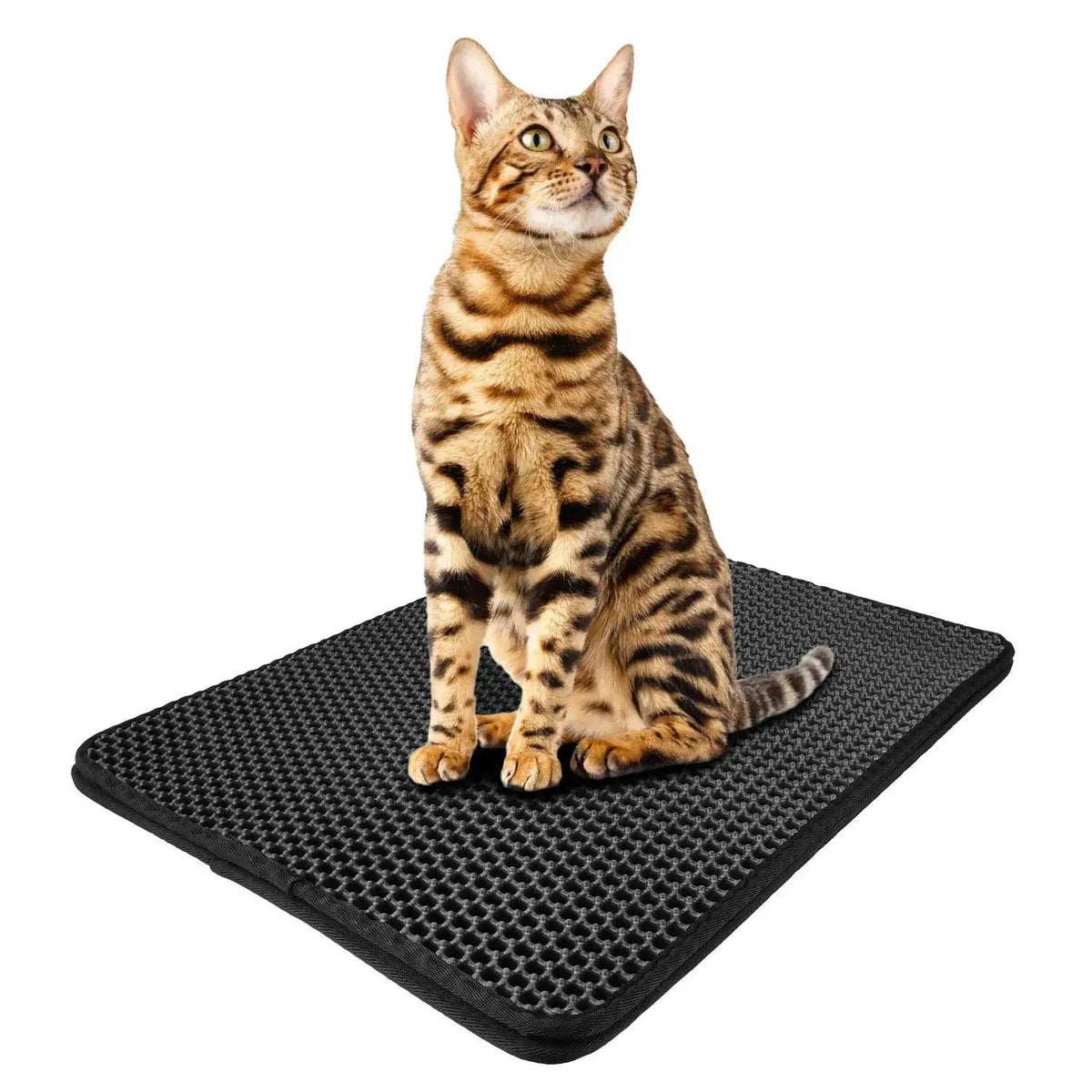 PETTOM Kattenbakmat – Strooiselopvangmat, Waterdicht, Antislip, Wasbaar & Zacht EVA-siliconen Mat (zwart)