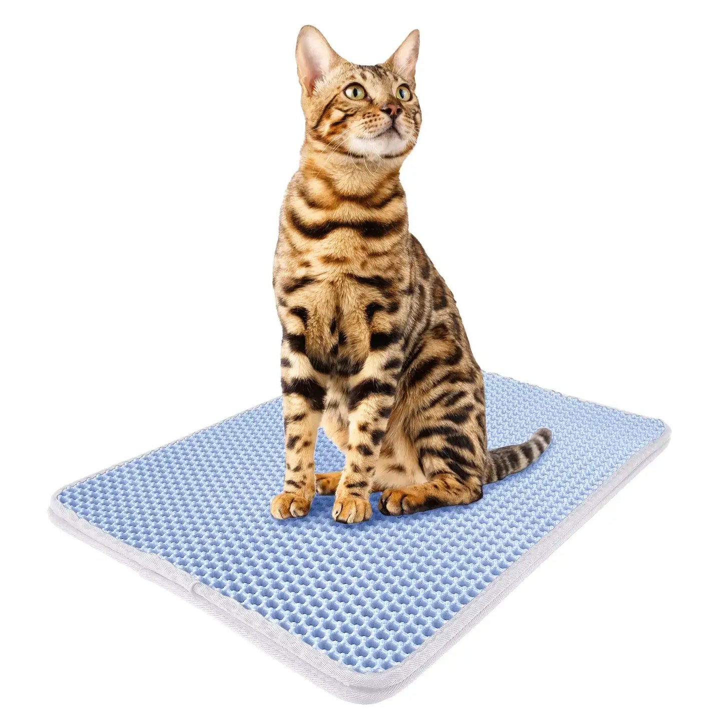 Double Sided Cat Litter Mat