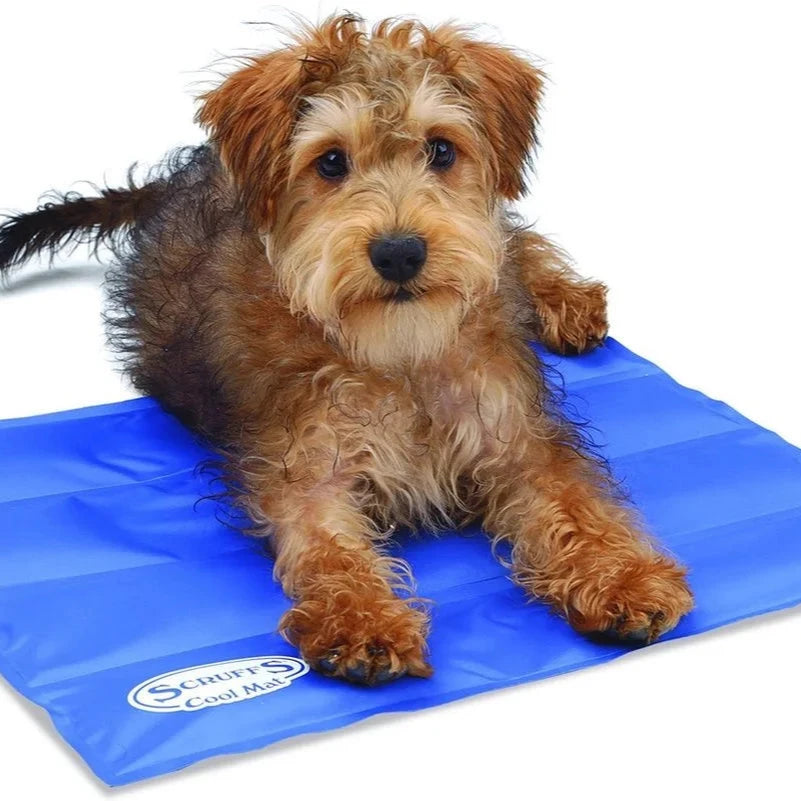 Scruffs Cooling Mat for Dogs - Blue