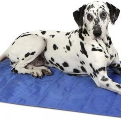 Scruffs Cooling Mat for Dogs - Blue